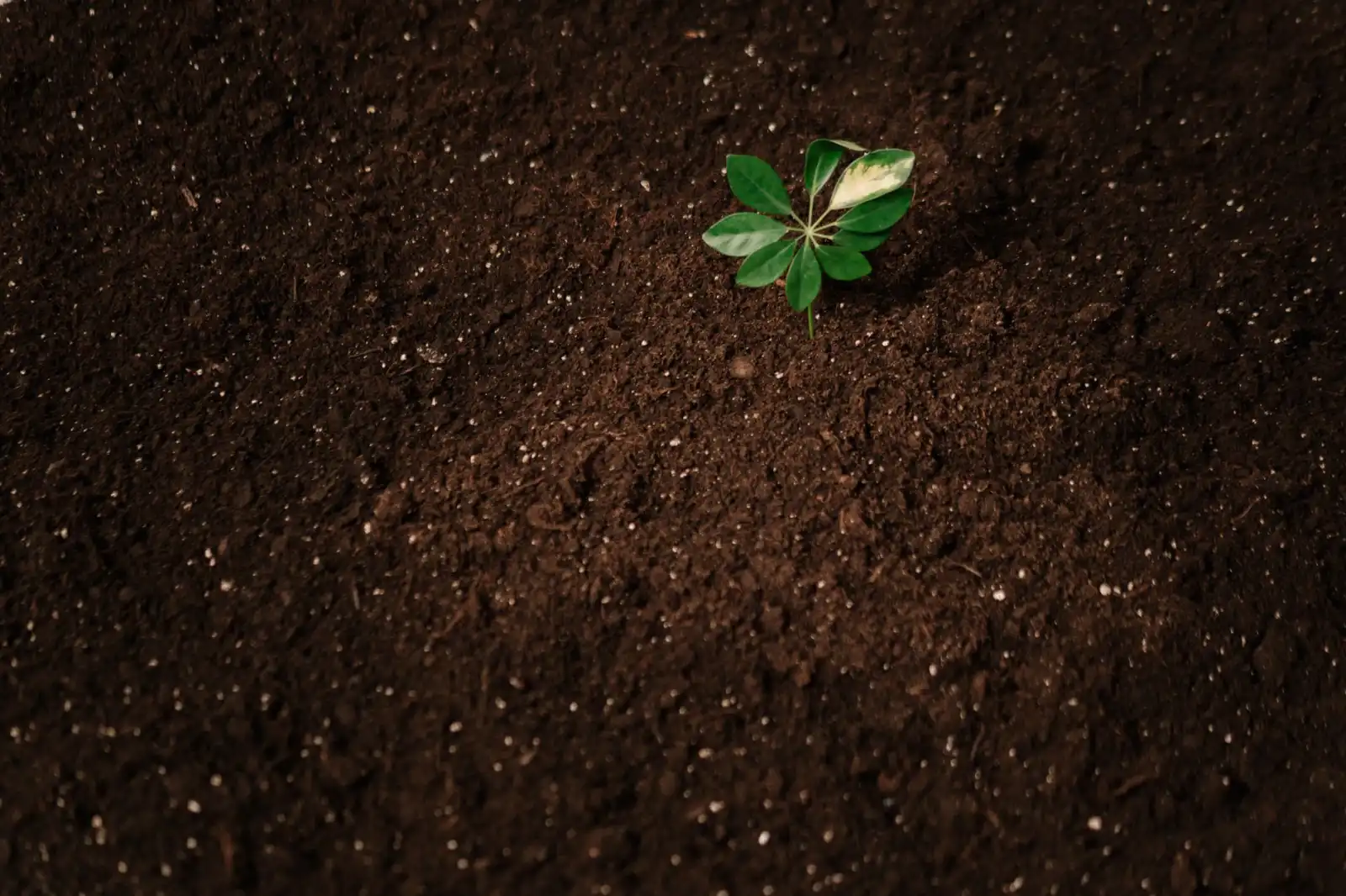 长三角制造业库存预警系统选型指南：从仓储扫码到数字化升级