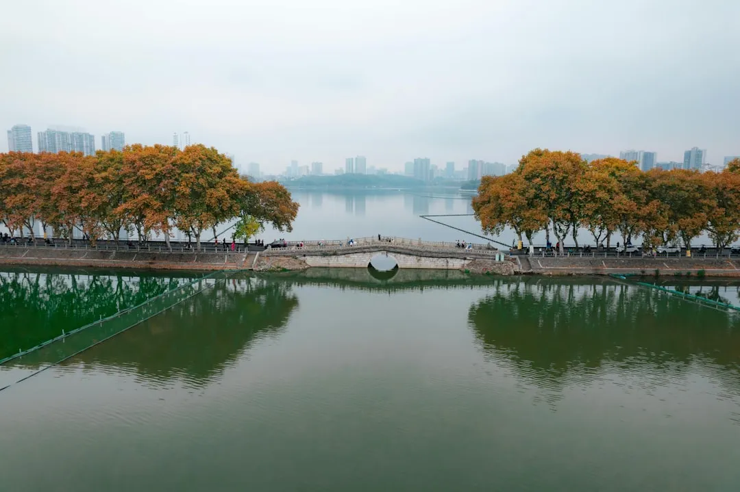 2024年库存预警功能对比：思远软件与主流仓储方案差异